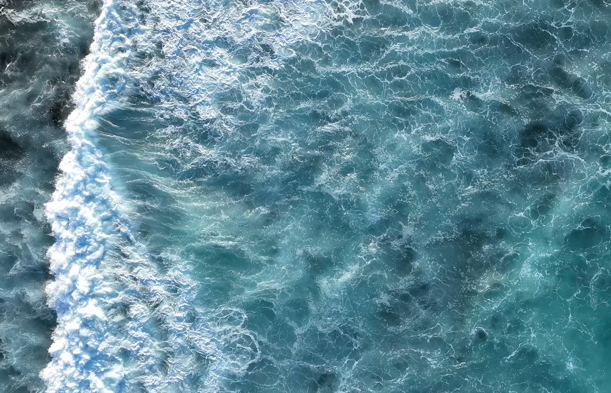 SITC Blick auf die Geschichte des Planeten Pflanzen DNA